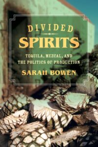 Book Cover: Divided Spirits
